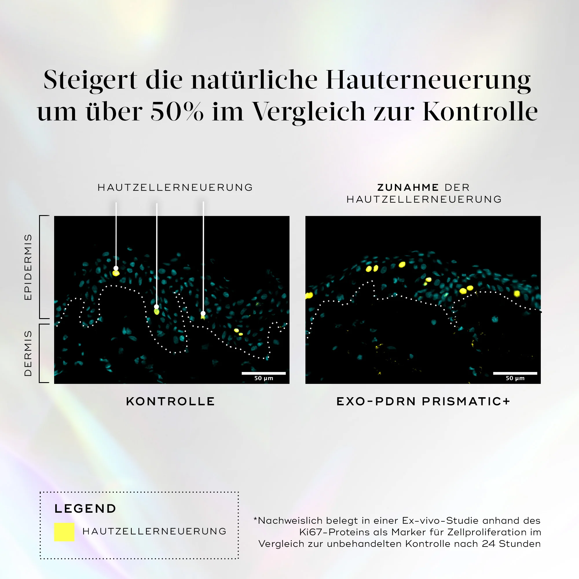 Vorschaubild 7
